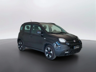 3 - Fiat Panda Cascioli Group