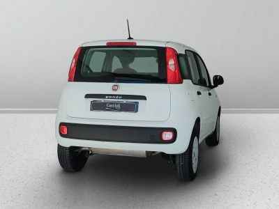 6 - Fiat Panda Cascioli Group