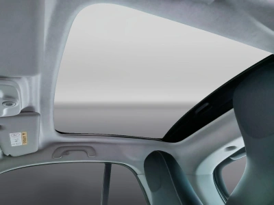 10 - smart fortwo Cascioli Group