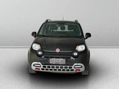 2 - Fiat Panda Cascioli Group