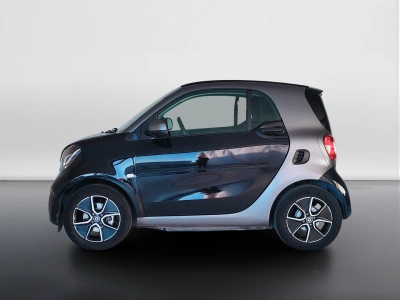 3 - smart fortwo Cascioli Group