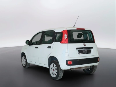 7 - Fiat Panda Cascioli Group