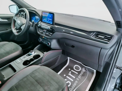 10 - Ford Kuga Cascioli Group