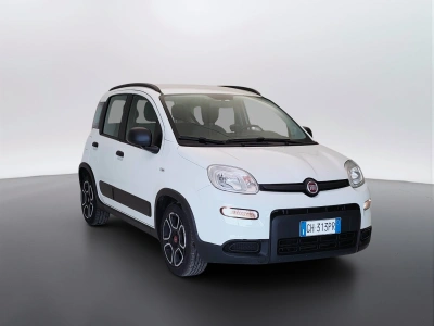 3 - Fiat Panda Cascioli Group