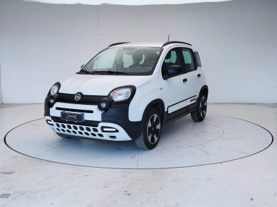1 - Fiat Panda Cascioli Group