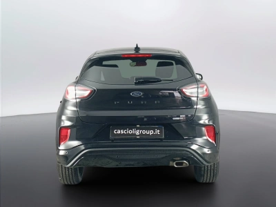 5 - Ford Puma Cascioli Group