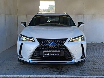 2 - Lexus UX Cascioli Group