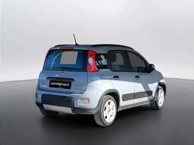 4 - Fiat Panda Cascioli Group