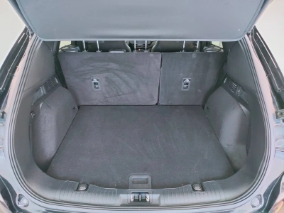 5 - Ford Kuga Cascioli Group