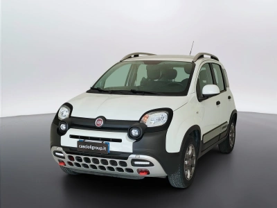 1 - Fiat Panda Cascioli Group