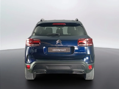 5 - Citroen C5 Cascioli Group