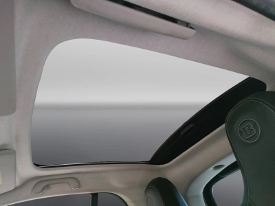 10 - smart fortwo Cascioli Group