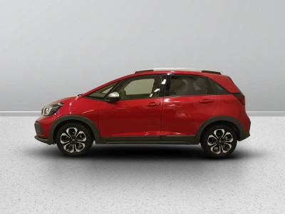 6 - Honda Jazz Cascioli Group