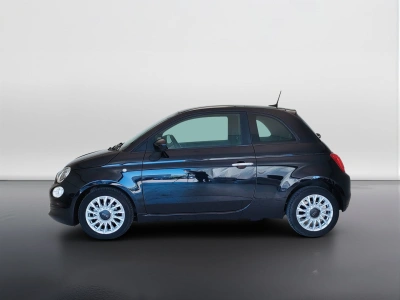 8 - Fiat 500 Cascioli Group