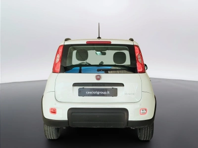 6 - Fiat Panda Cascioli Group