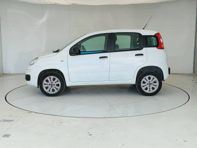 8 - Fiat Panda Cascioli Group