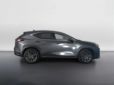 4 - Lexus NX Cascioli Group