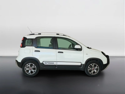 4 - Fiat Panda Cascioli Group