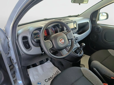 7 - Fiat Panda Cascioli Group