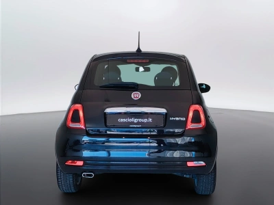6 - Fiat 500 Cascioli Group