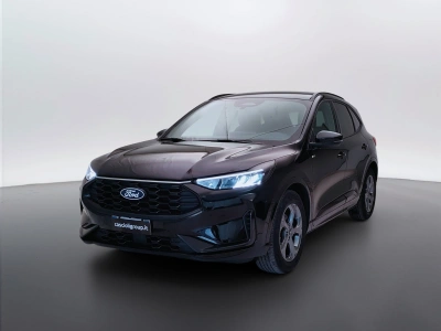1 - Ford Kuga Cascioli Group
