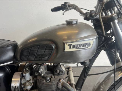 8 - Tvr Modello Cascioli Group