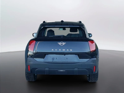 5 - MINI Aceman Cascioli Group