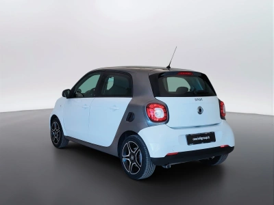 7 - smart forfour Cascioli Group