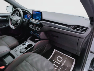 10 - Ford Kuga Cascioli Group