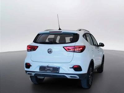5 - Mg ZS Cascioli Group