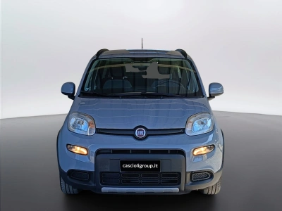 2 - Fiat Panda III 2021 Cascioli Group