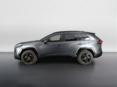 6 - Toyota RAV4 Cascioli Group