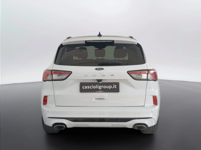 5 - Ford Kuga Cascioli Group