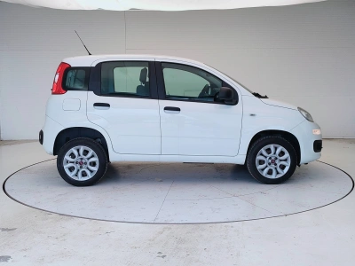 8 - Fiat Panda Cascioli Group