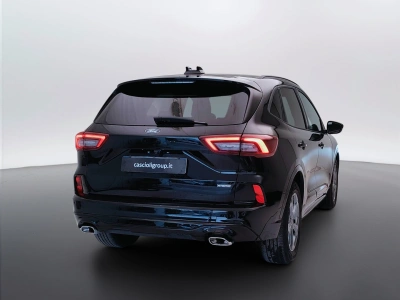 5 - Ford Kuga Cascioli Group