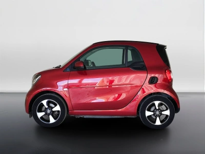 3 - smart fortwo Cascioli Group