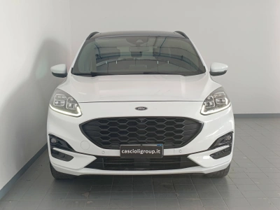 2 - Ford Kuga Cascioli Group