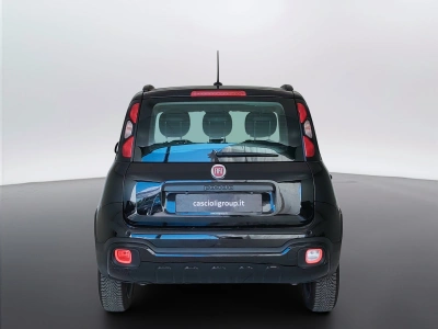 6 - Fiat Panda Cascioli Group