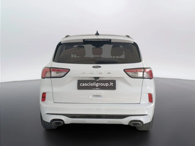 5 - Ford Kuga Cascioli Group