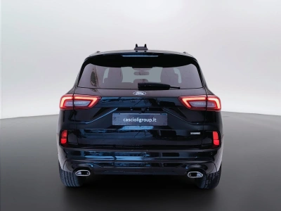 6 - Ford Kuga Cascioli Group