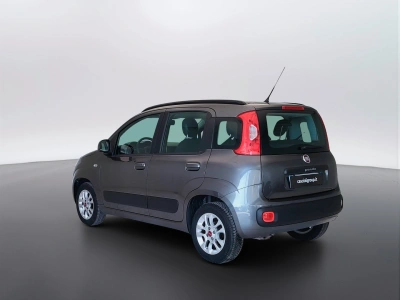 7 - Fiat Panda Cascioli Group