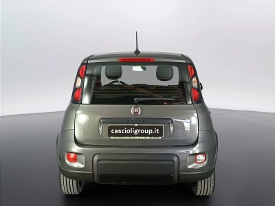 5 - Fiat Panda Cascioli Group