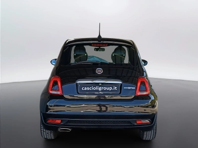 5 - Fiat 500 Cascioli Group