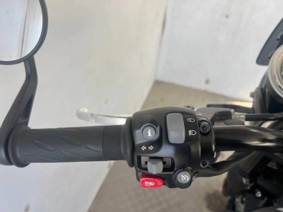 8 - Triumph Bonneville Cascioli Group