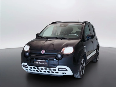 1 - Fiat Panda Cascioli Group
