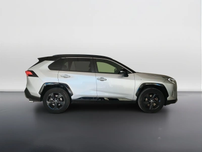 4 - Toyota RAV4 Cascioli Group