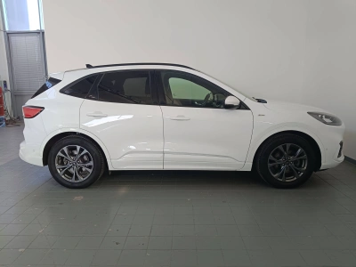 3 - Ford Kuga Cascioli Group