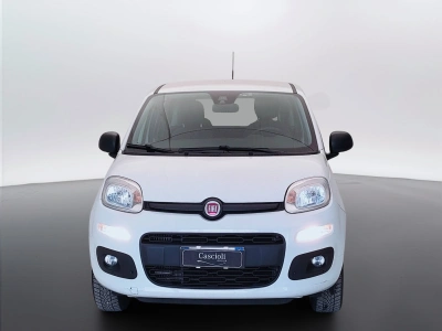 2 - Fiat Panda Cascioli Group
