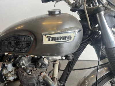 9 - Tvr Modello Cascioli Group