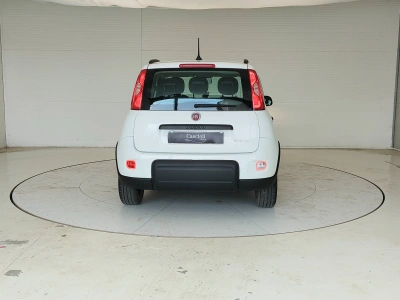 6 - Fiat Panda III 2021 Cascioli Group